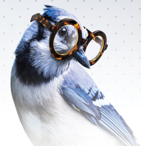 Bird with glasses